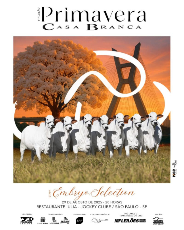 11º Leilão Primavera Casa Branca - Embryo Selection