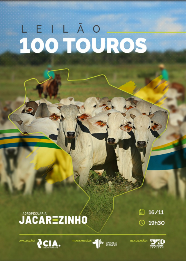 Leilão Agropecuária Jacarezinho - Touros