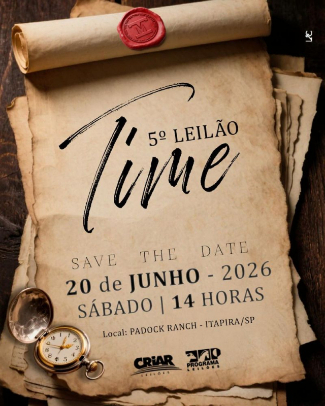 5° Leilão Time