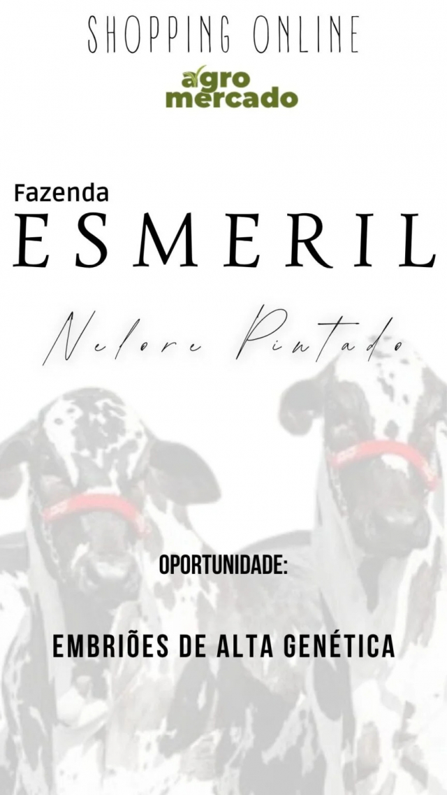 Shopping - Fazenda Esmeril - Nelore Pintado
