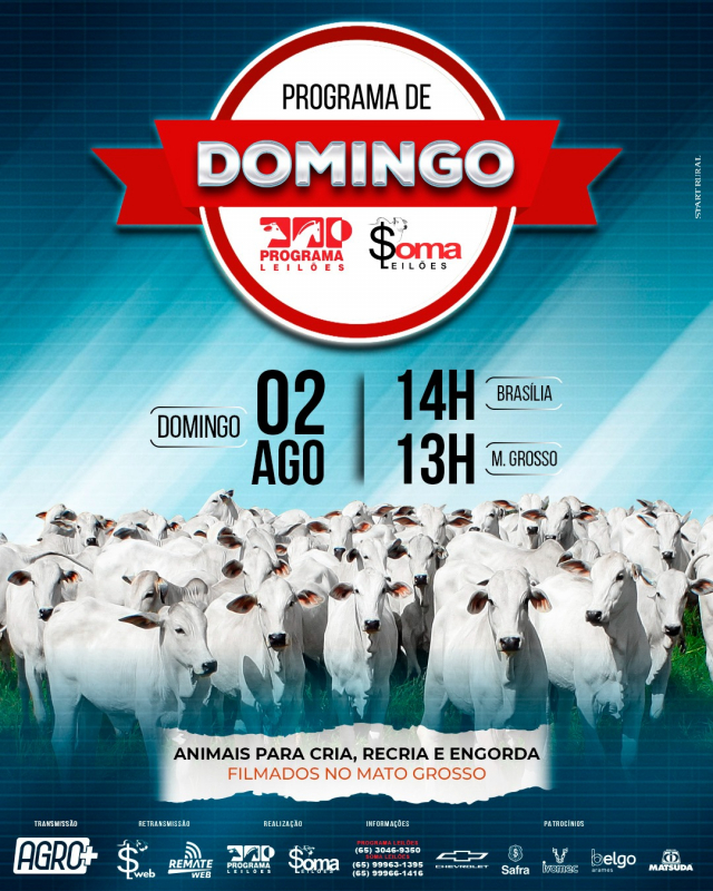160° Programa de Domingo - Programa e Soma Leilões