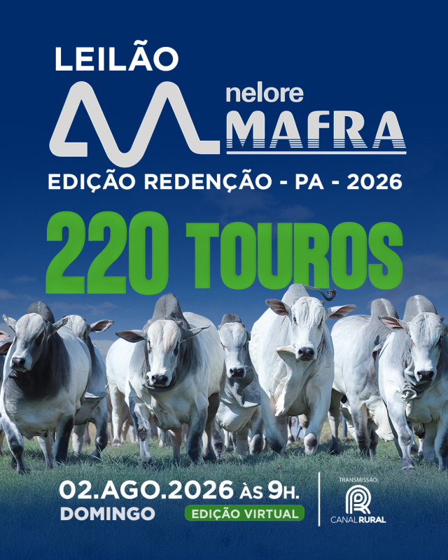 Leilão Virtual Nelore Mafra - 220 Touros