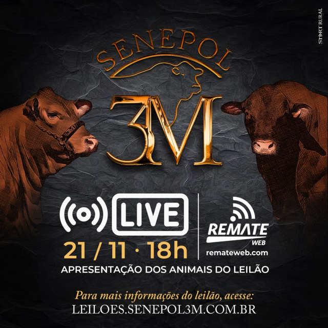 LIVE | Leilão Senepol 3M