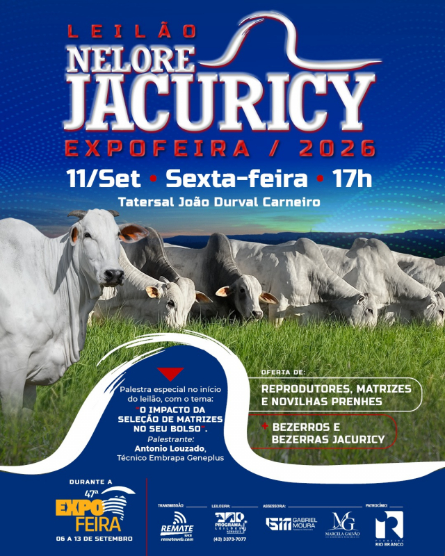 Leilão Nelore Jacuricy Expofeira 2026