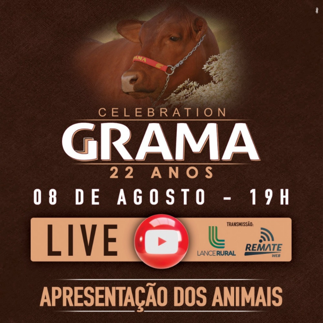 LIVE | Leilão Celebration Grama Senepol