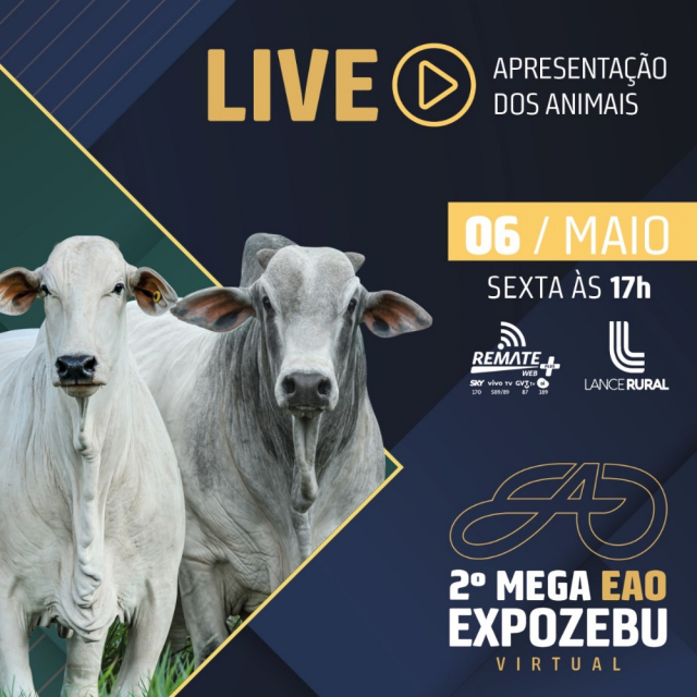 LIVE | 2° Mega EAO Expozebu Virtual