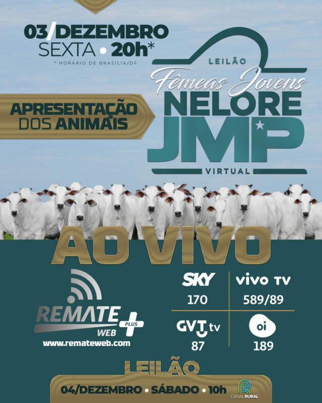 LIVE | Leilão Virtual Fêmeas Jovens Nelore JMP