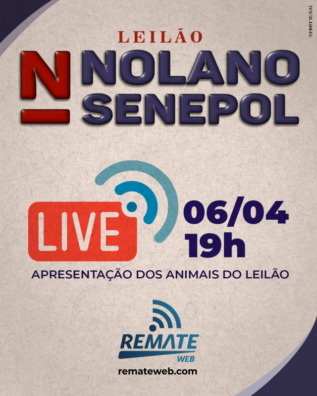 LIVE | Leilão Nolano Senepol