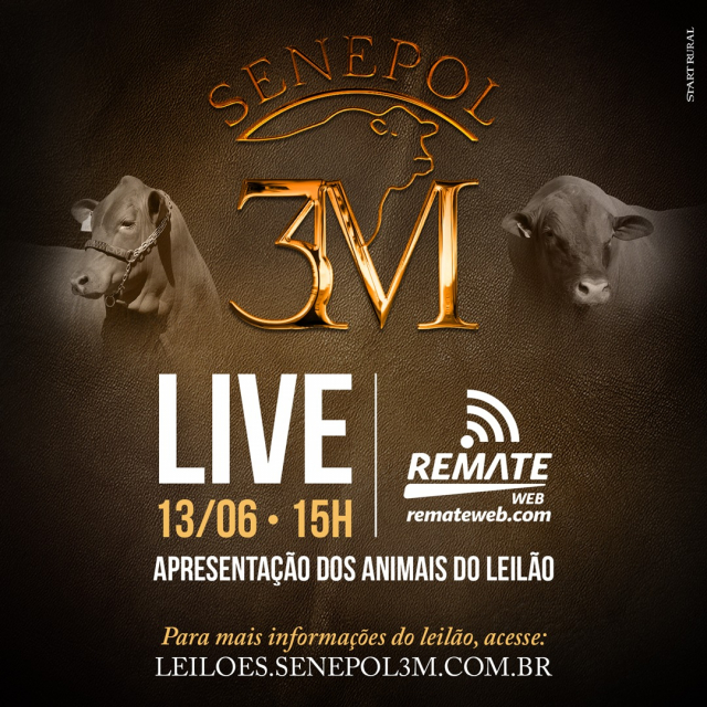 LIVE | Senepol 3M