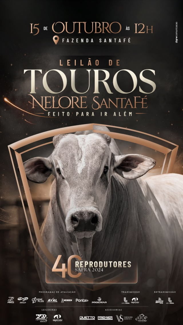 Leilão Nelore Santa Fé - Touros