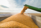 Exportações do Agro em outubro forma de US$ 13,38 bi