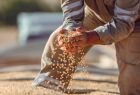 Exportações do agro garantem superávit bilionário