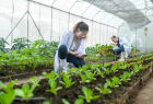 CNA na COP-27: compromisso do Agro com segurança alimentar e sustentabilidade