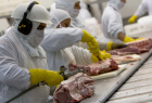 Exportações de carne bovina podem bater novo recorde