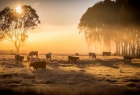 Frente fria derruba temperaturas