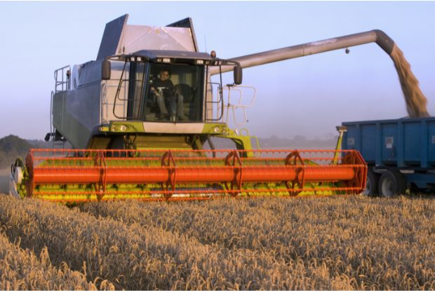 PIB da agropecuária cresce 11,7% em 2025 e reforça peso do setor na economia