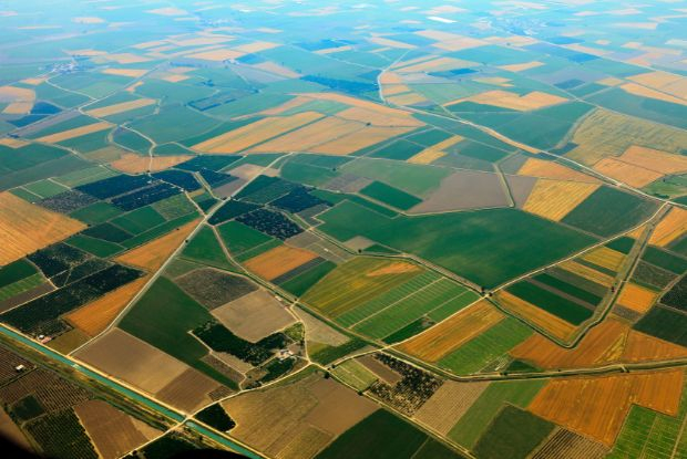 Cidades mais ricas do agronegócio, confira