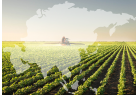 Agronegócio tem 4 novos mercados na Ásia