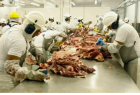 Carne bovina busca novos caminhos no mercado internacional