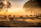 Frente fria derruba temperaturas