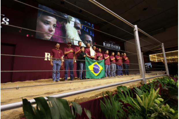 Leilão Raridades reforça renovação e excelência genética em um dos palcos mais nobres da raça