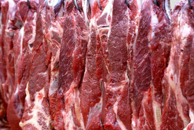 Exportação de carne bovina bate recorde em valor
