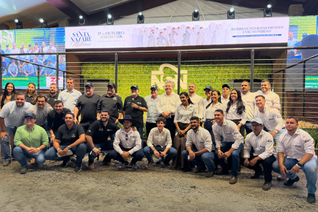 Nelore Santa Nazaré abre semana comemorativa de dez anos com oferta de touros bem recebida pelo mercado