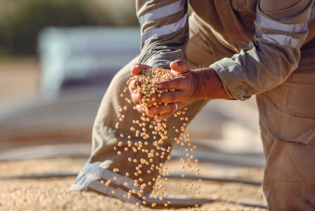 Exportações do agro garantem superávit bilionário