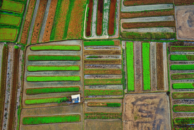 Projeto quer barrar embargo rural por satélite