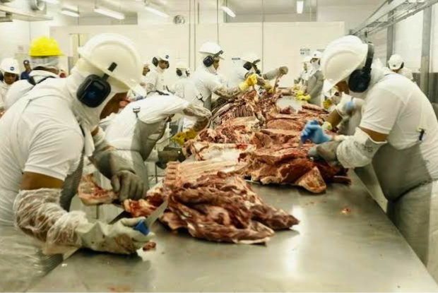 Carne bovina busca novos caminhos no mercado internacional