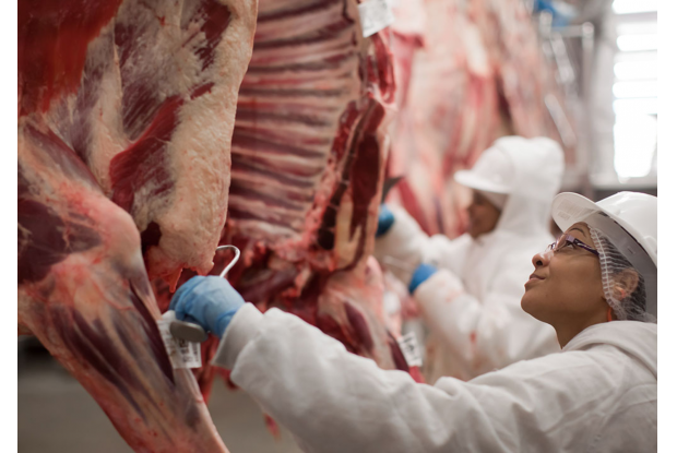 Exportações Brasileiras de Carne Bovina Batem Recorde Histórico em Setembro