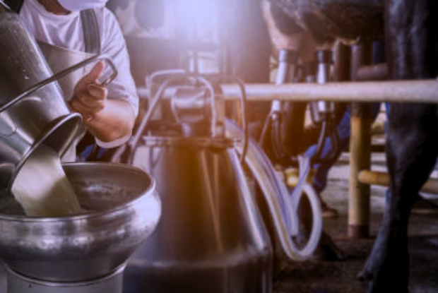 Produção de leite no Brasil bate recorde histórico 