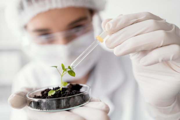 Pesquisadora da Embrapa é a primeira brasileira a receber o "Nobel da agricultura"