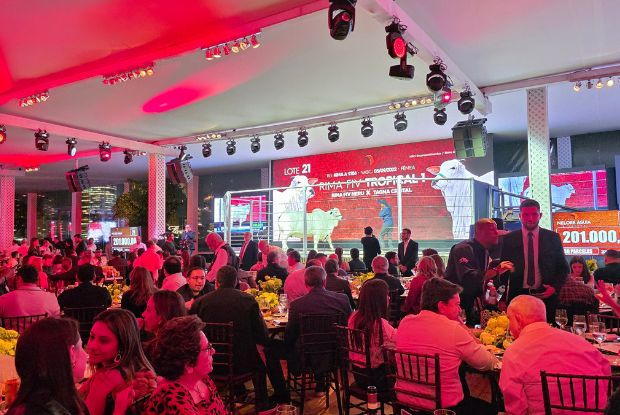 Leilão Nelore Águia & Amigos marca noite histórica de genética, excelência e consagração no Jockey Club de São Paulo