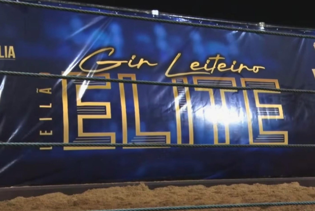 2º Leilão Gir Leiteiro Elite reúne genética de Fazenda Brasília e Fazenda Pilar durante a Expoleite 2026