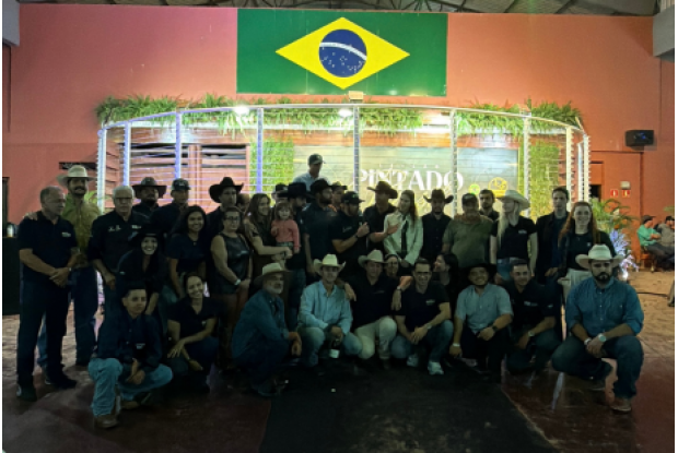 Leilão Nelore Pintado Brasil 2026 reúne 168 compradores de 17 estados e reforça seu posicionamento no calendário da raça